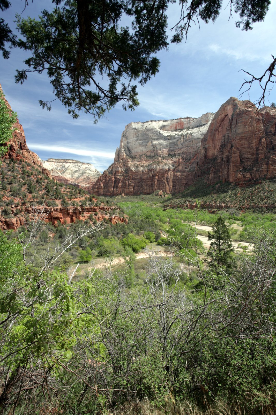 [2007-04-14+141031+7.JPG]