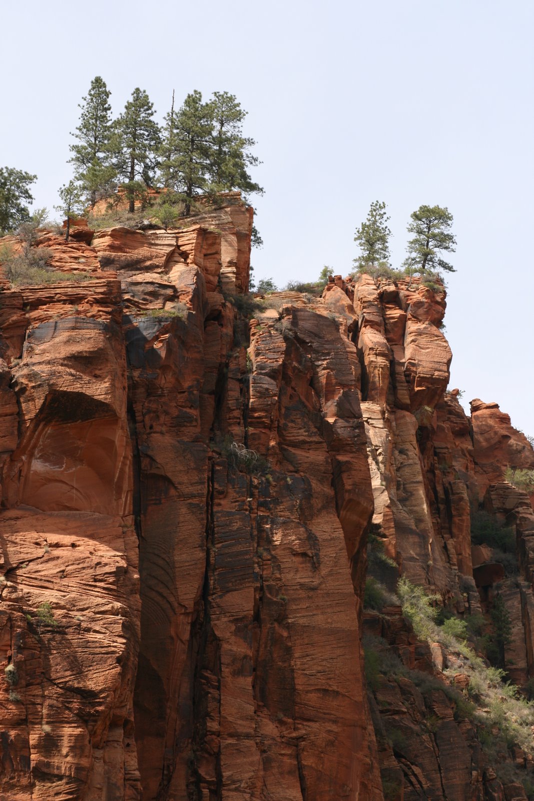 [2007-04-14+171342+6.JPG]