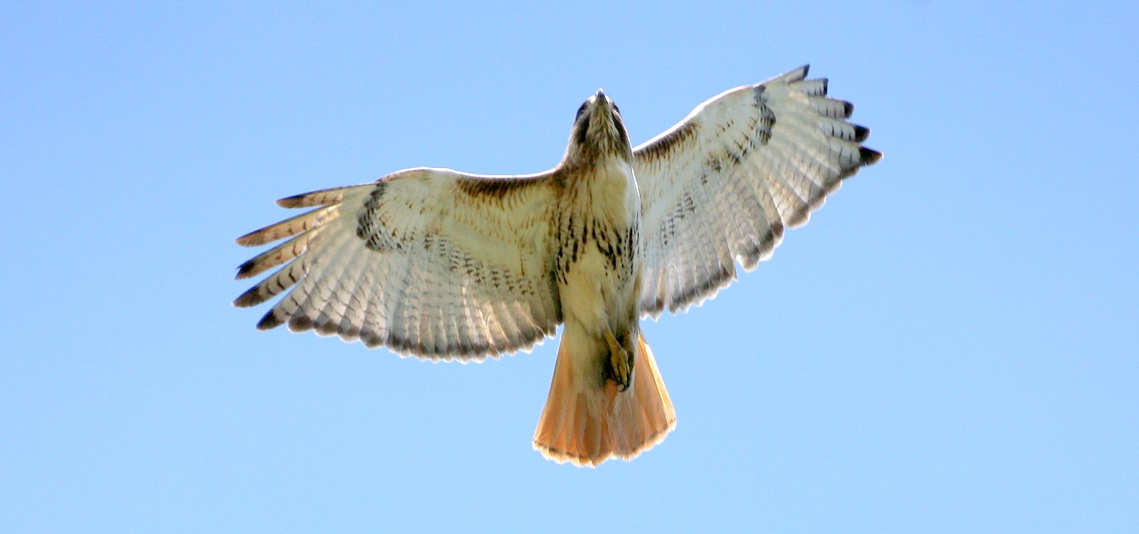 [2007-04-21+140614+5.JPG]