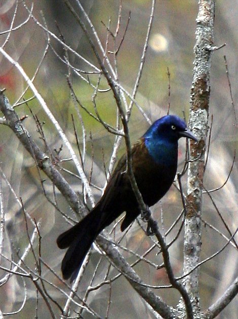 [2007-05-05+113036+1.JPG]