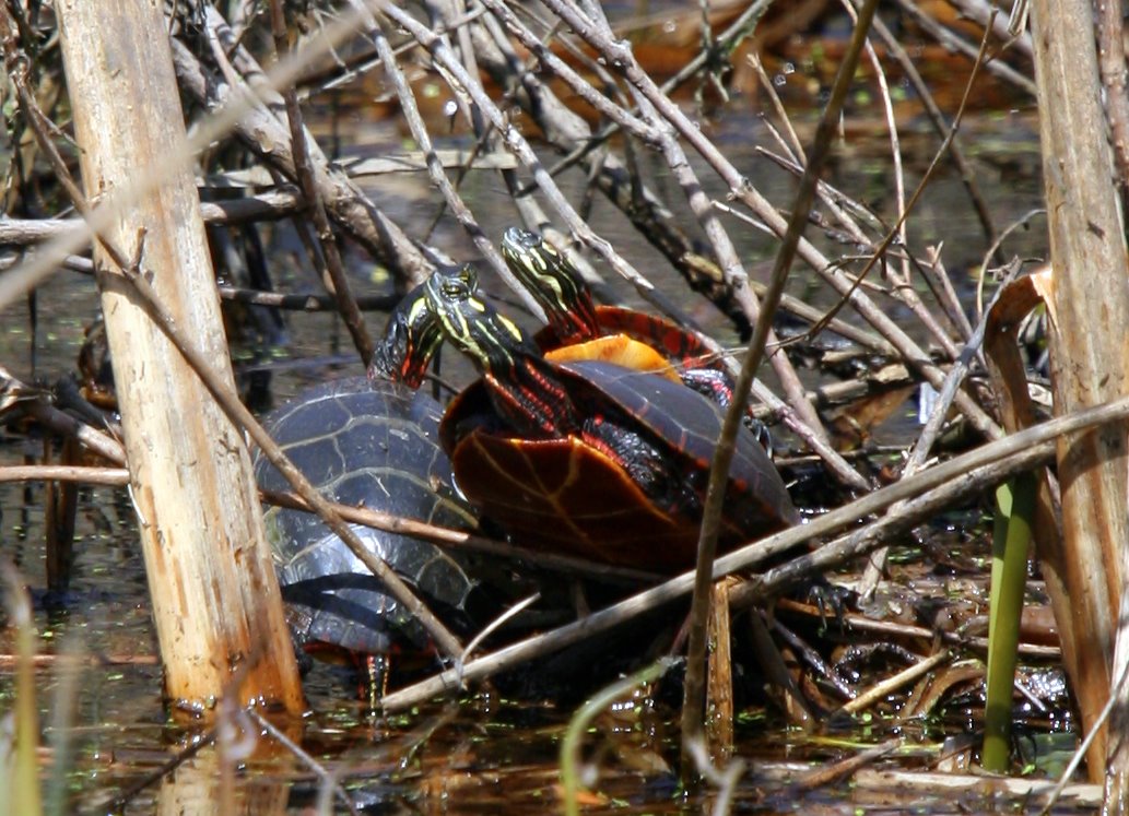 [2007-05-05+142042+4.JPG]