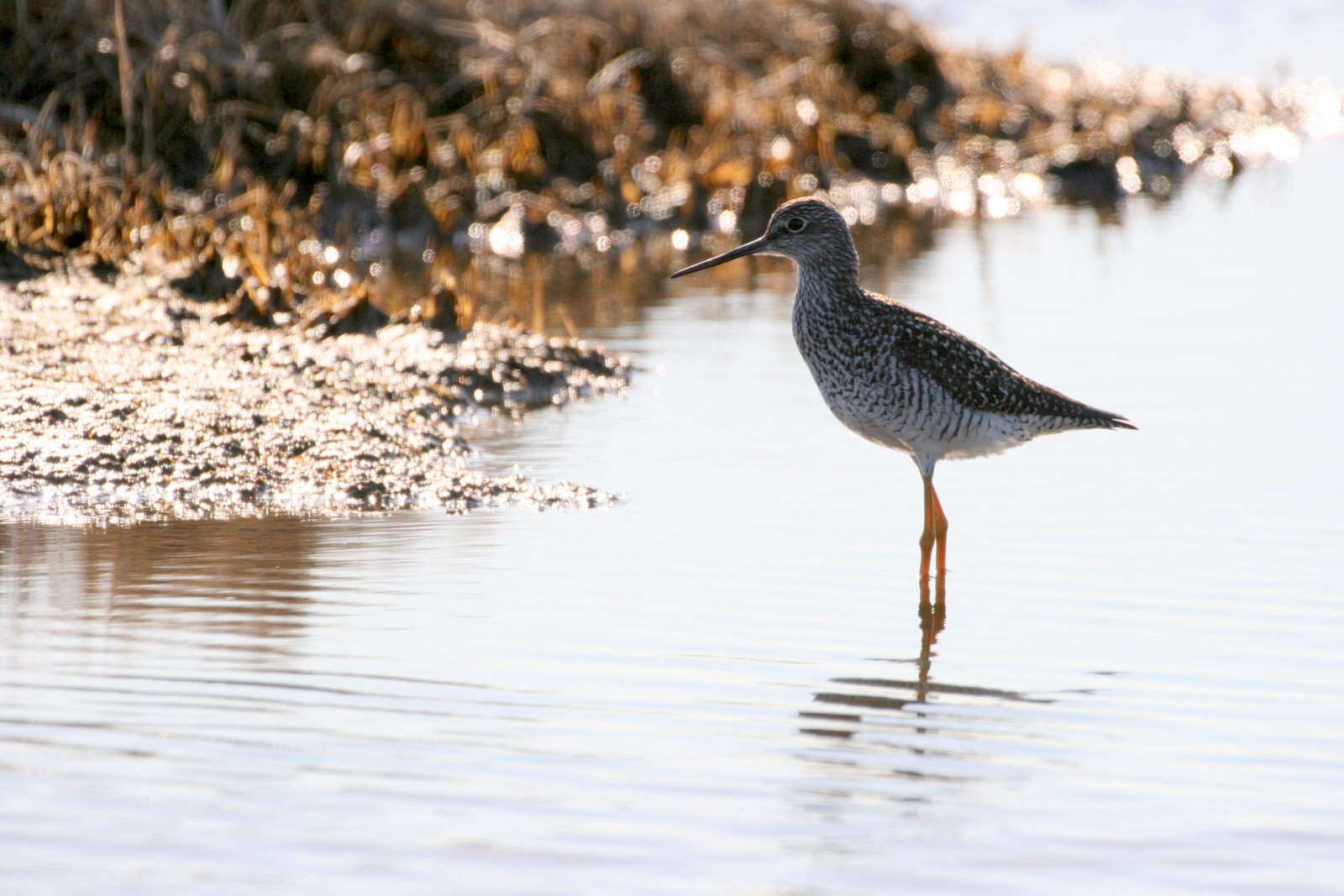 [2007-05-06+171615+9.JPG]