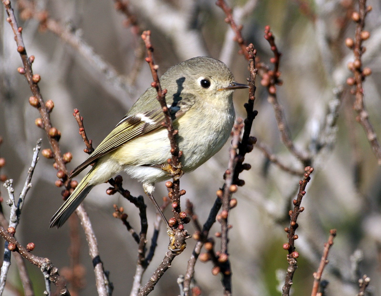 [2007-05-06+173838+8.JPG]