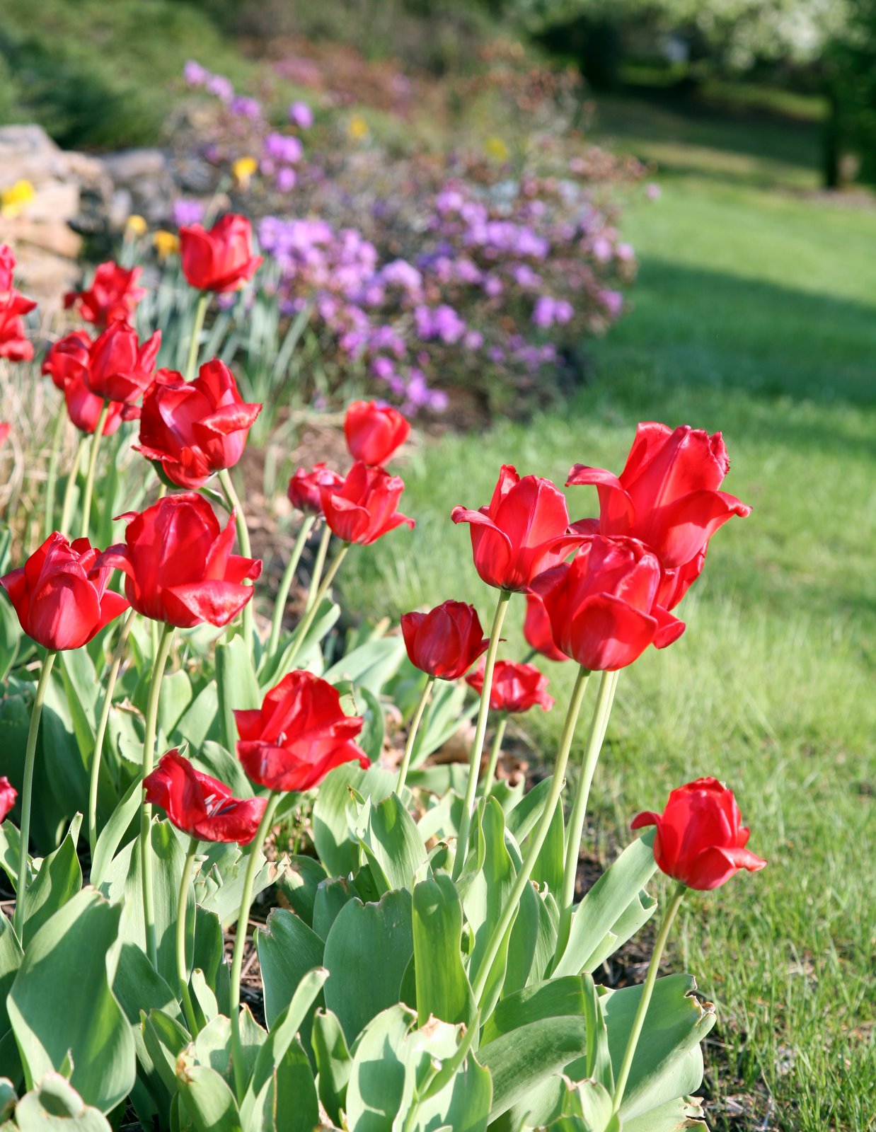 [2007-05-11+180231+8.JPG]