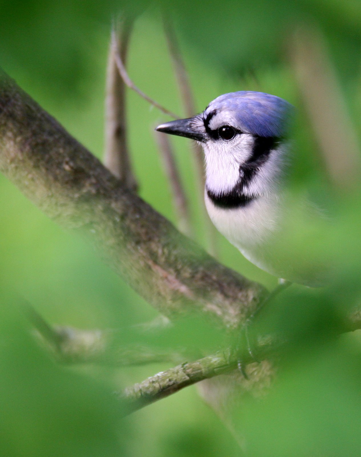 [2007-05-12+074049+0.JPG]