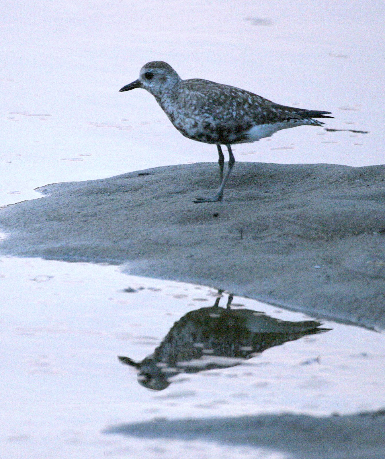 [2007-05-26+051826+9.JPG]