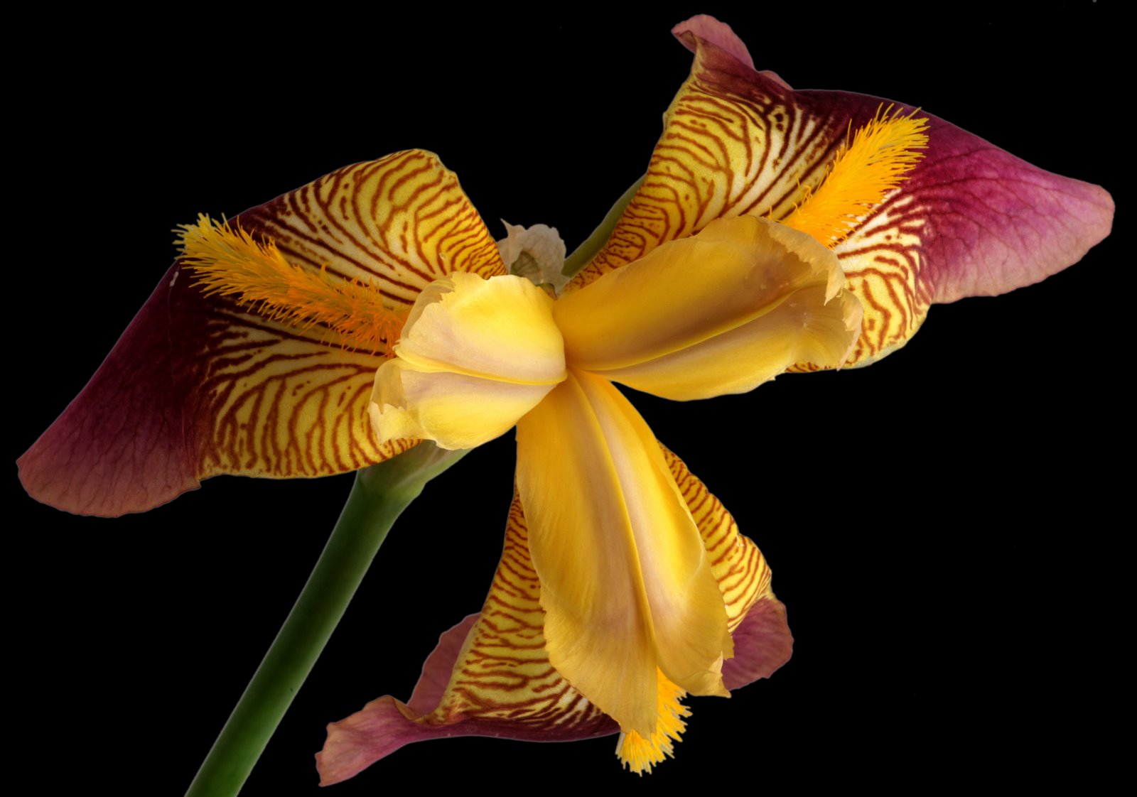 [2007-06-14+191347+4.JPG]