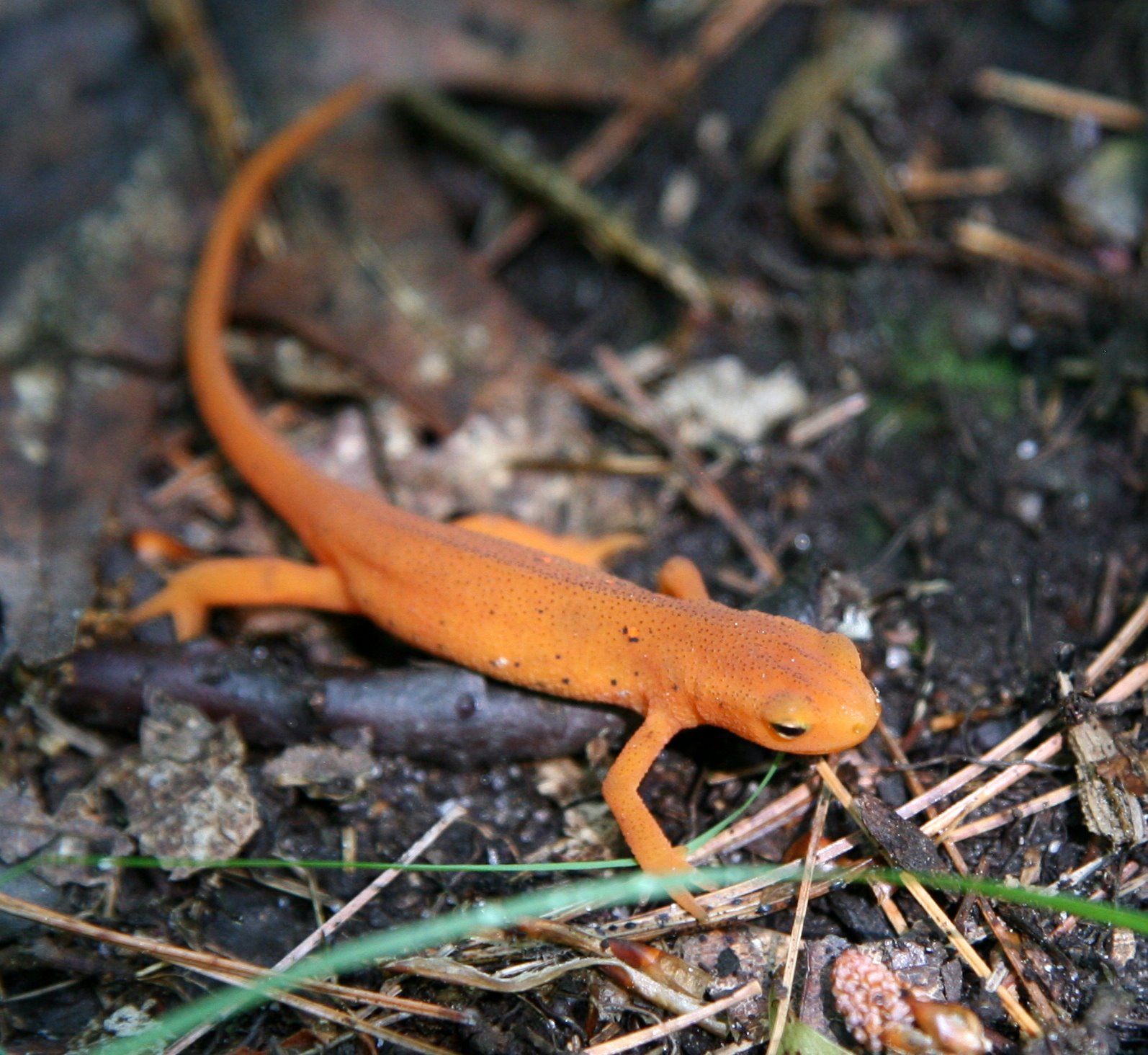 [2007-07-05+112721+9.JPG]