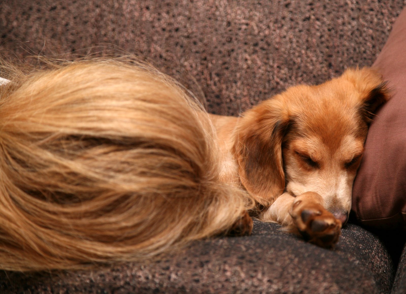 [2007-06-29+232910+6.JPG]