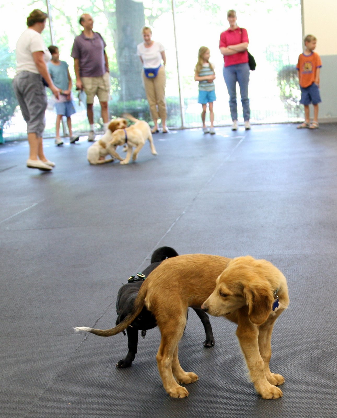 [2007-06-30+094324+0.JPG]