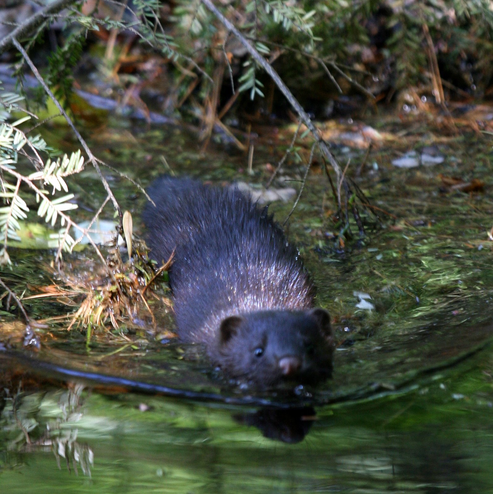 [2007-07-07+115943+1.JPG]