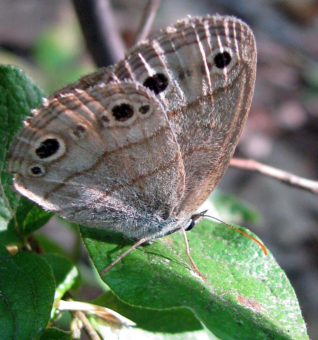 [2007-08-05+085506+5.JPG]