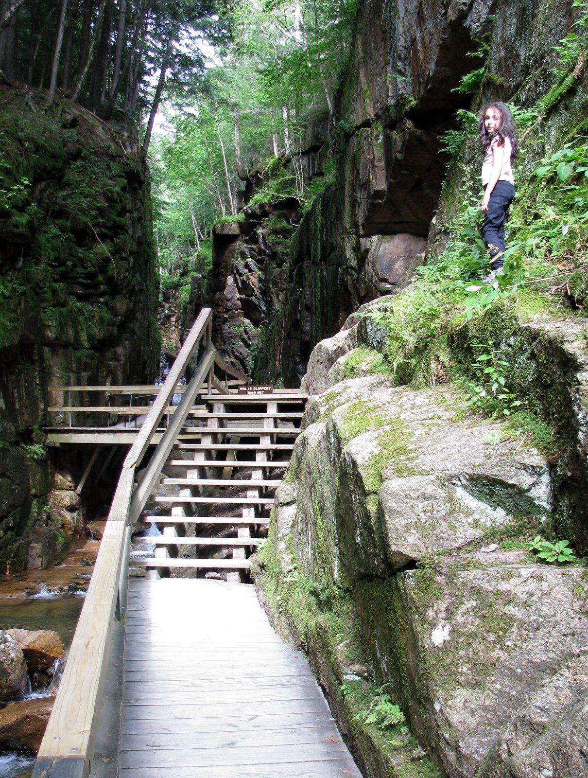 [2007-08-10+163822+0.JPG]