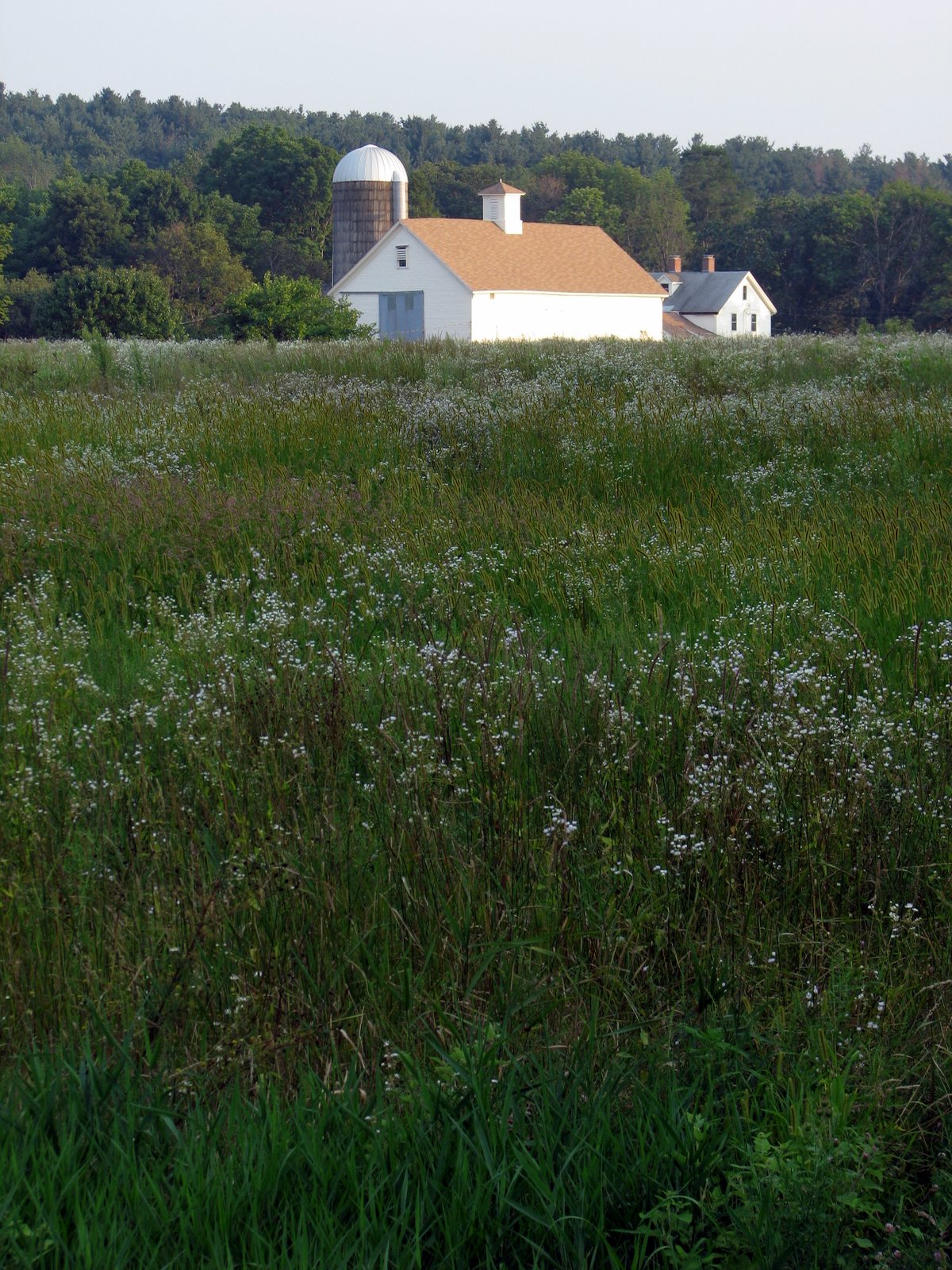 [2007-08-16+184235+2.JPG]