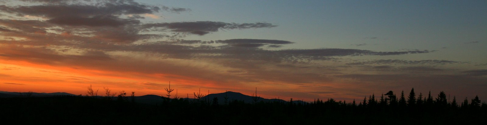 [2007-10-021817398.JPG]