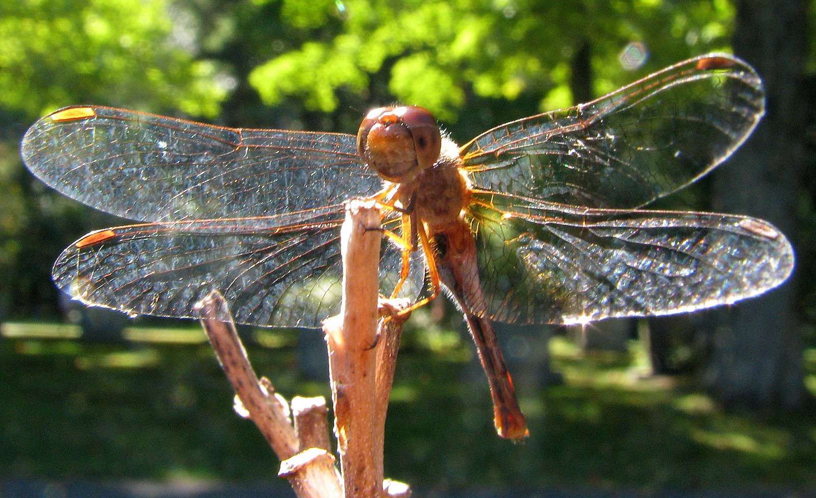 [2007-09-251223387.JPG]