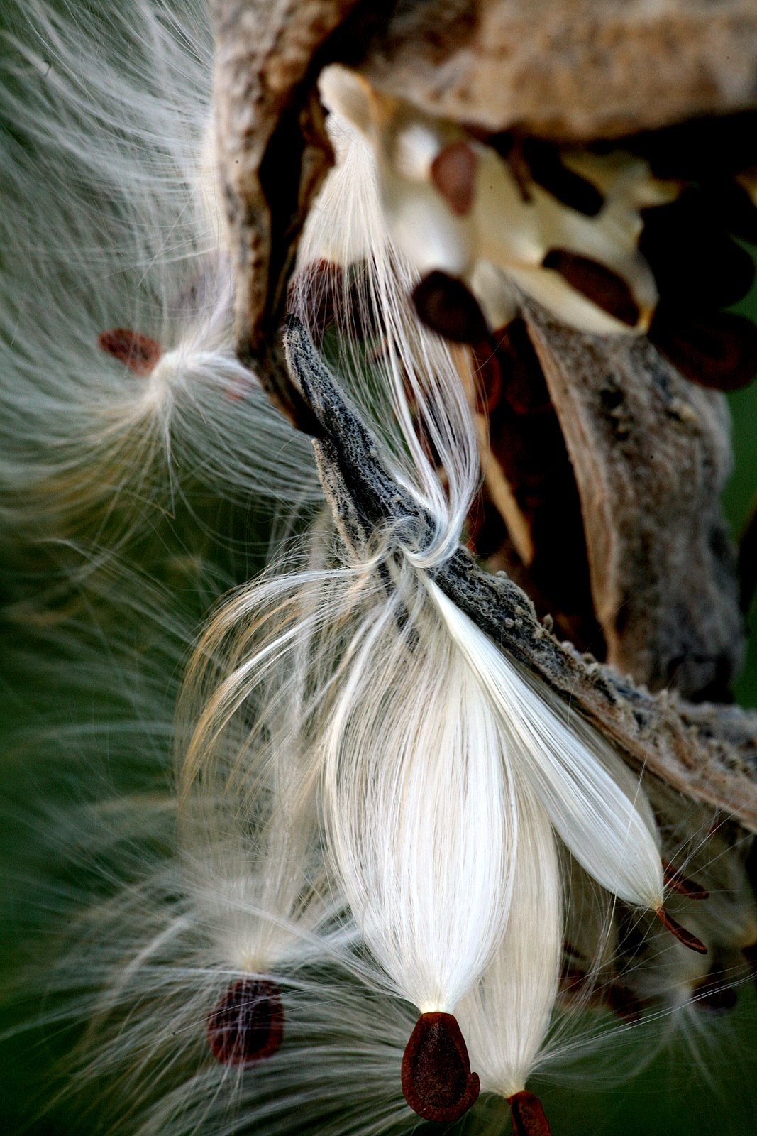 [2007-10-21+1555274.JPG]