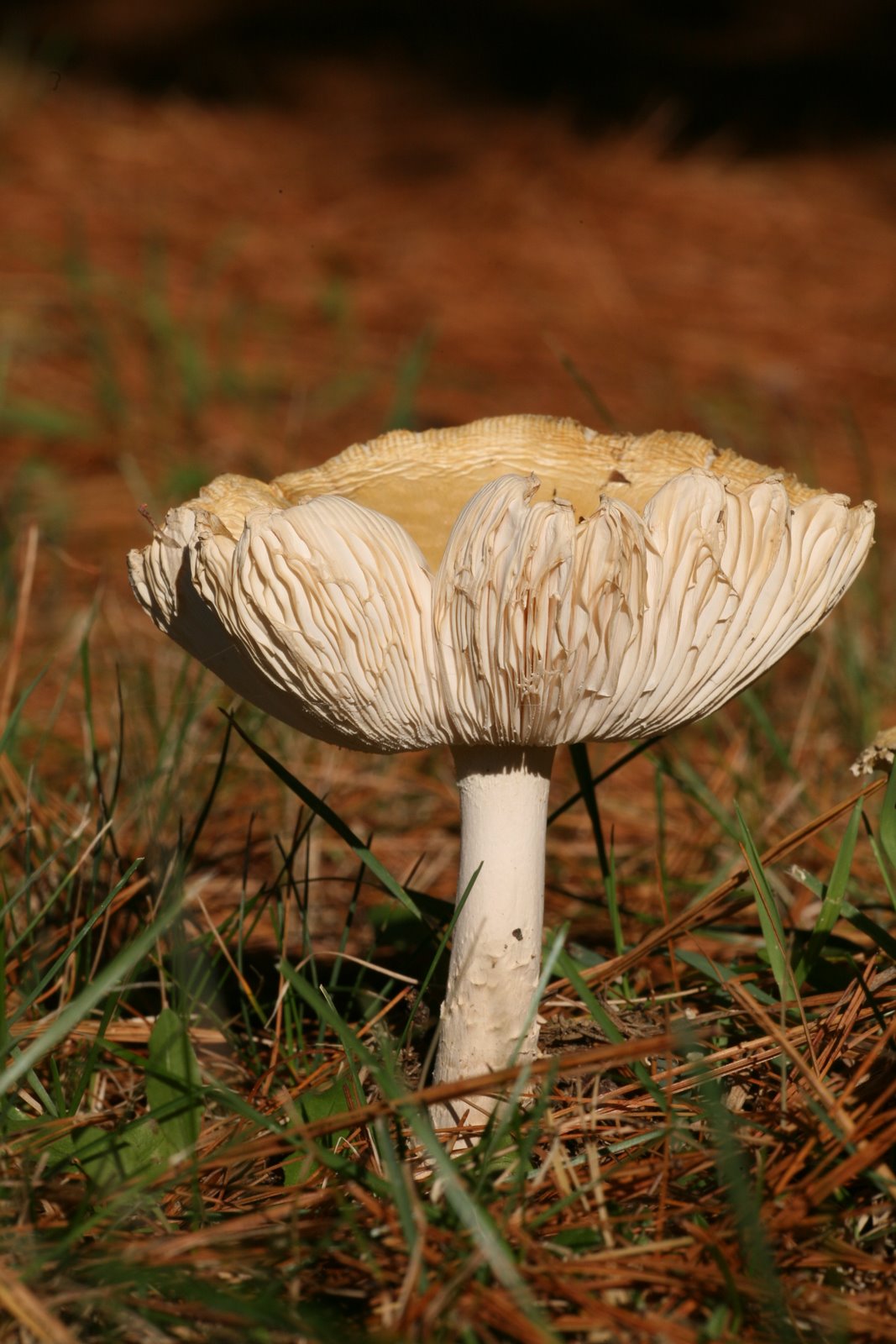 [2007-10-21+1559488.JPG]