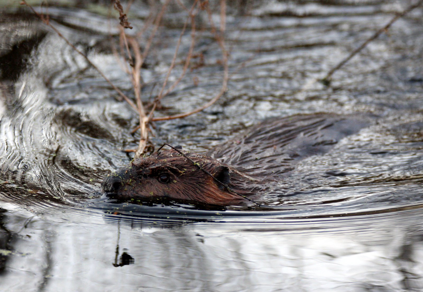 [2007-10-28+1716336.JPG]