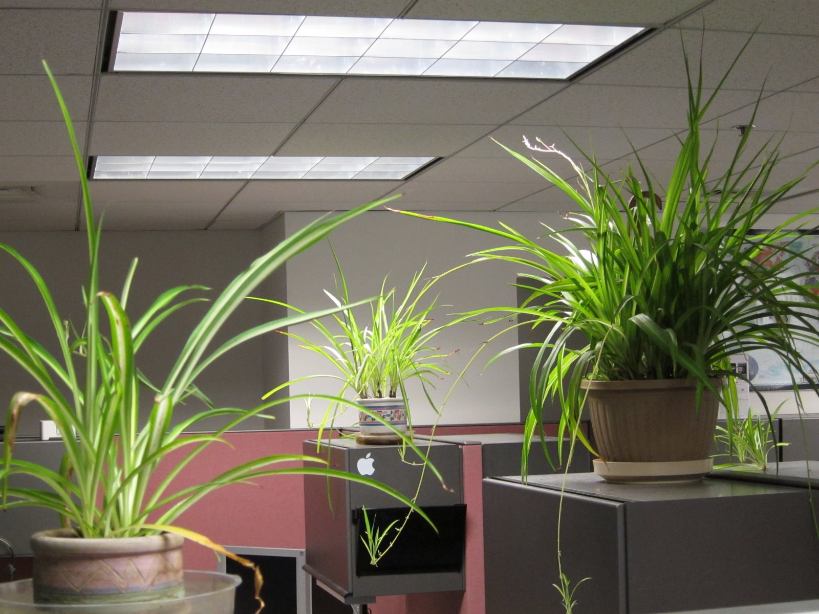 [2010-02-19+192722+076.JPG]