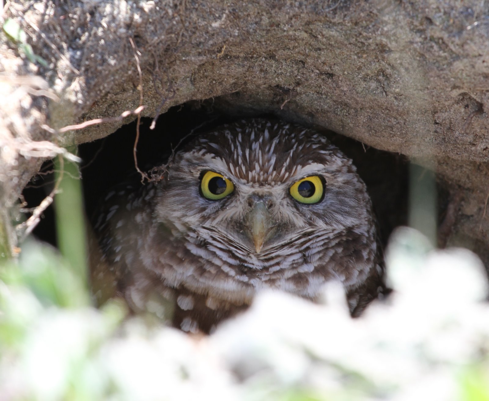 [2010-03-06+132251+708.JPG]