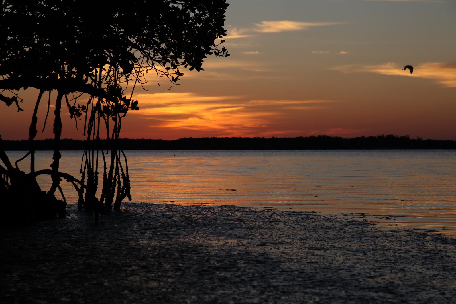 [2010-03-08+064052+040.JPG]