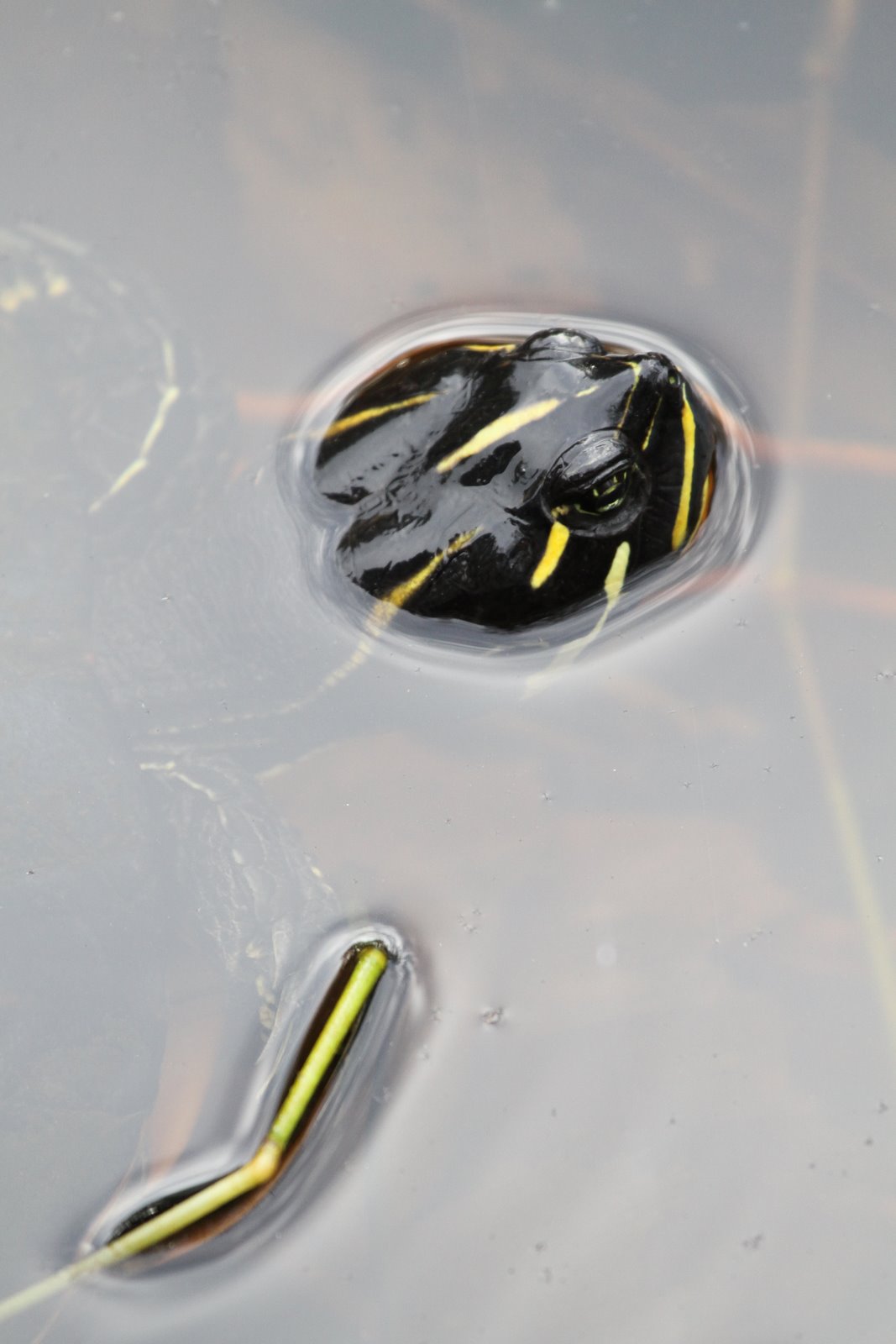 [2010-03-09+165503+725.JPG]