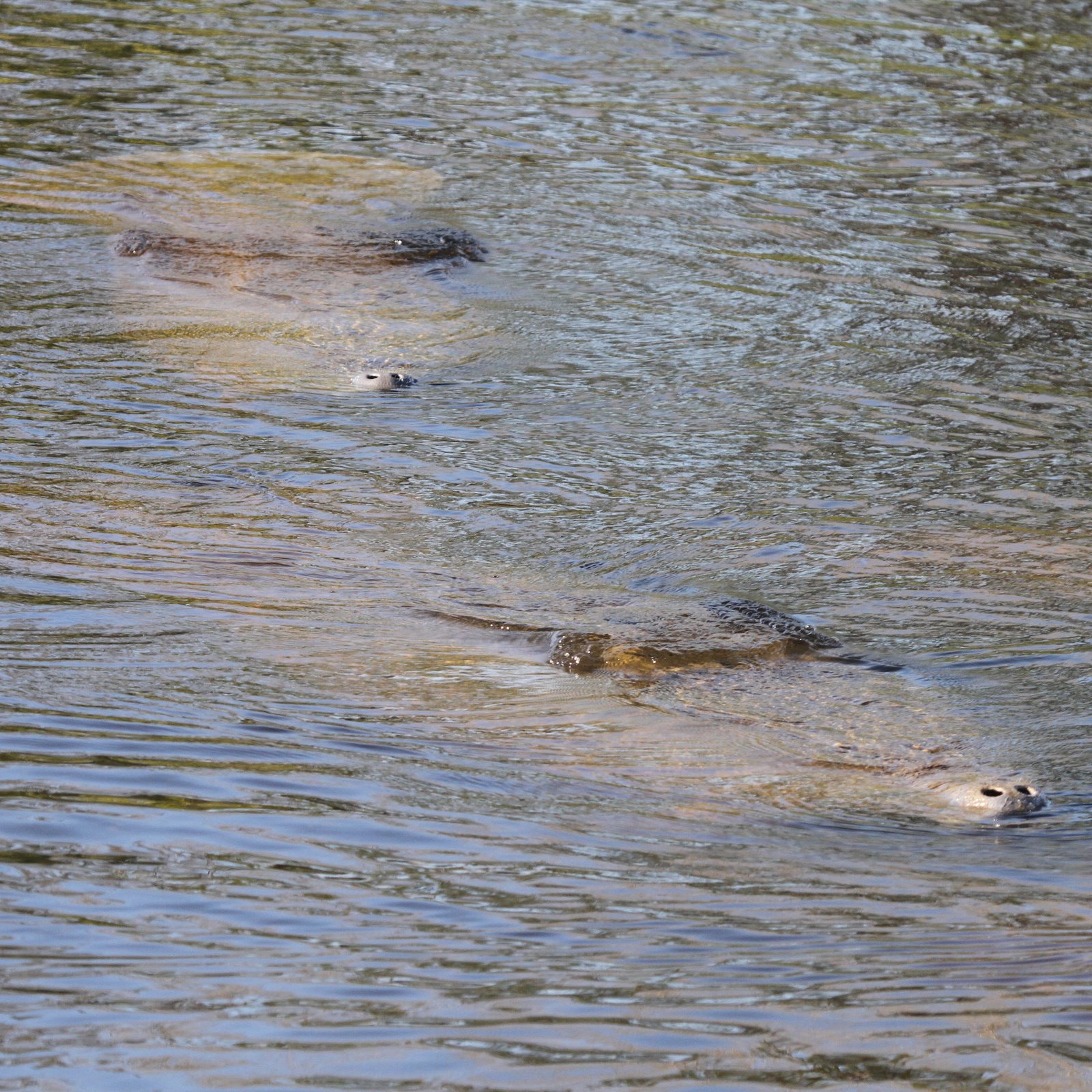 [2010-03-10+084920+856.JPG]