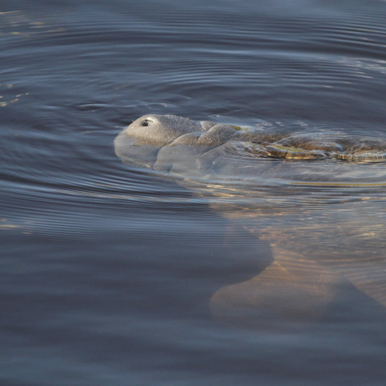 [2010-03-10+084714+844.JPG]