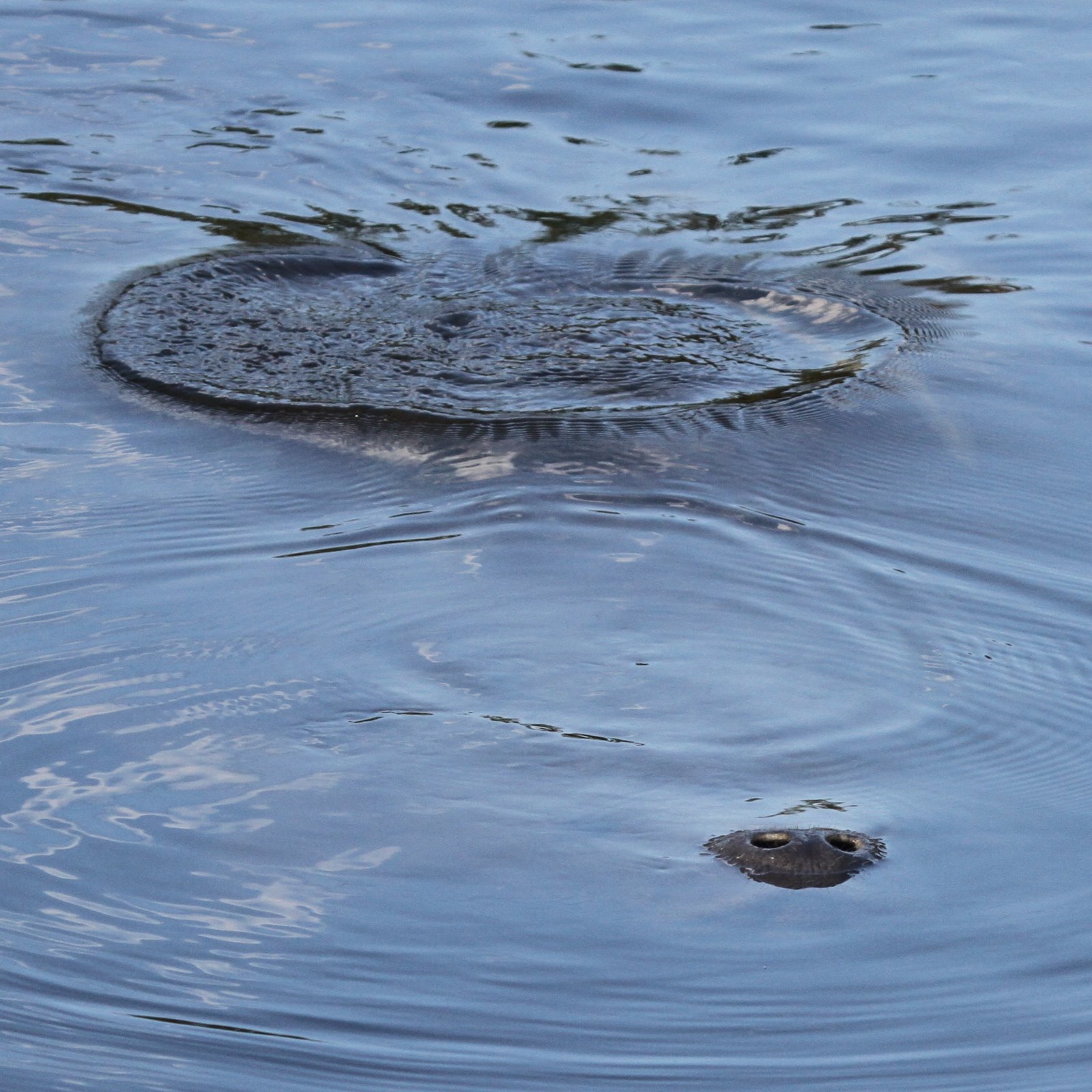 [2010-03-10+083234+814.JPG]