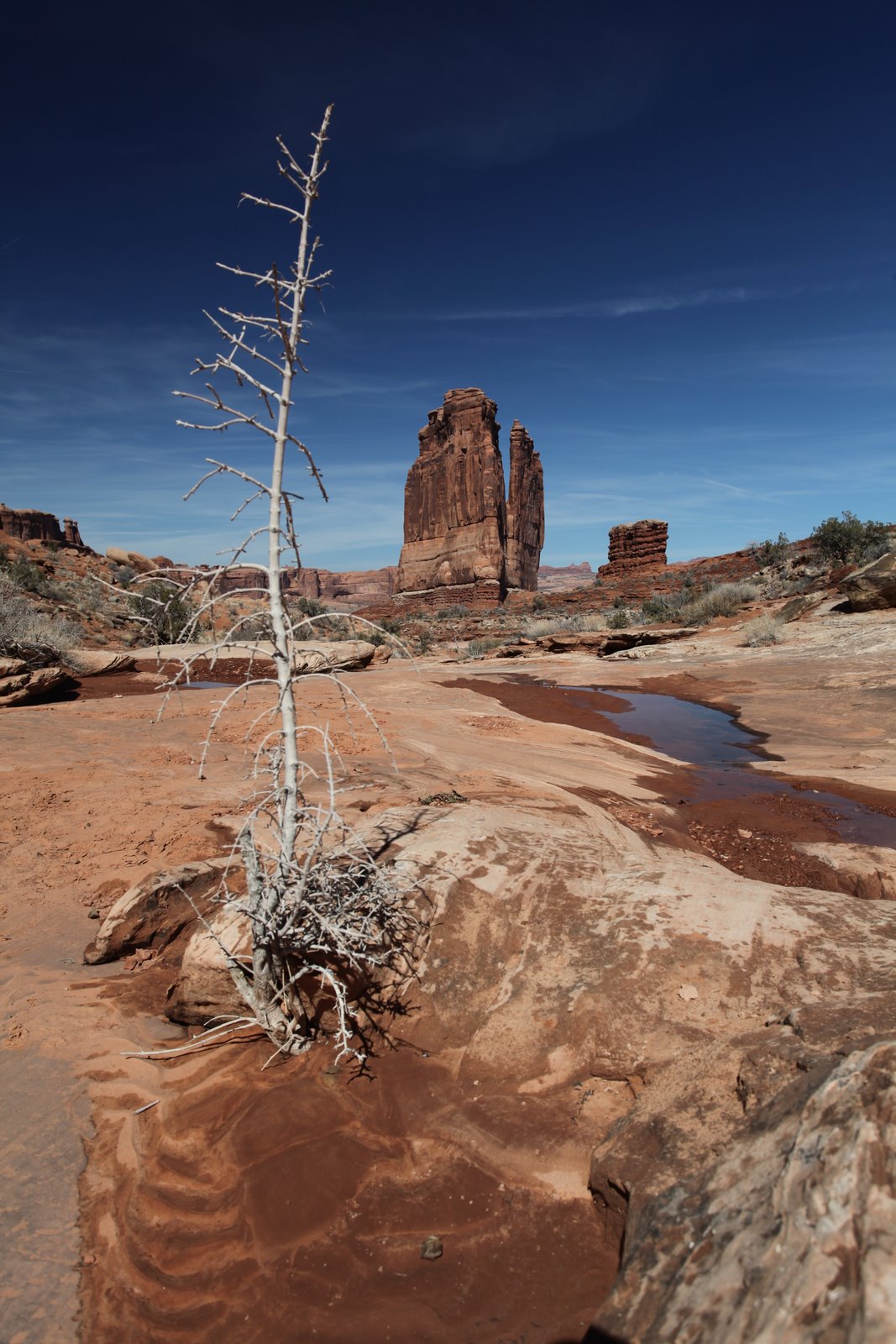 [2010-03-16+164747+082.JPG]