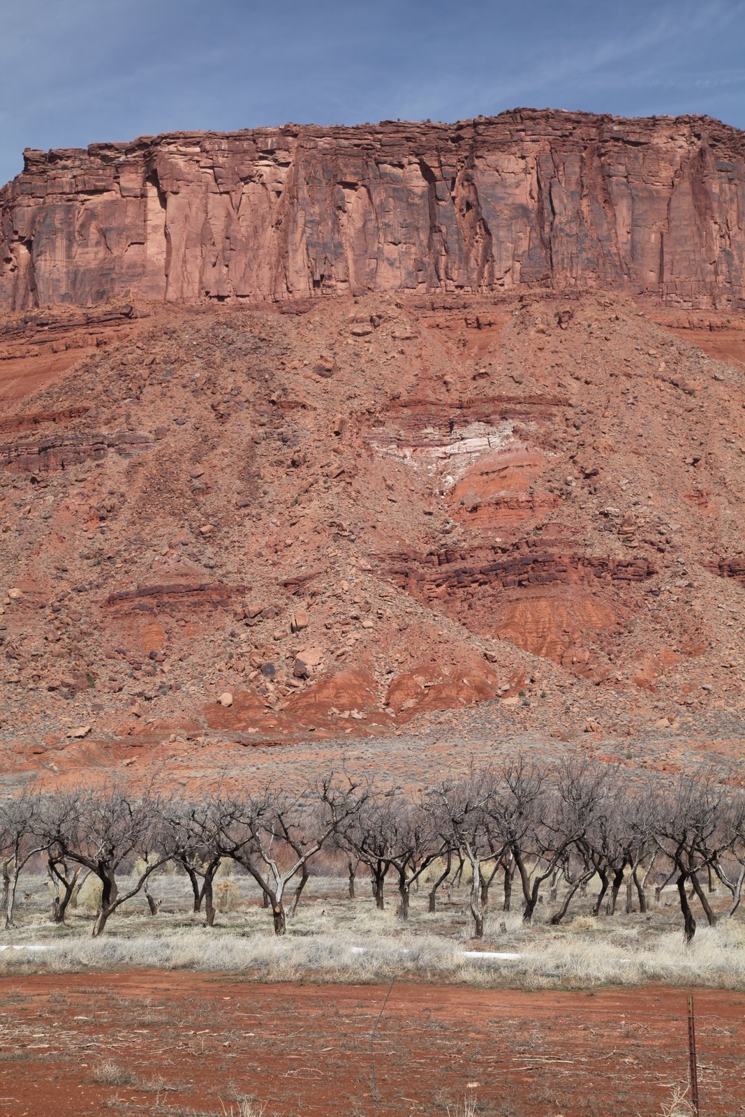 [2010-03-17+133354+195.JPG]