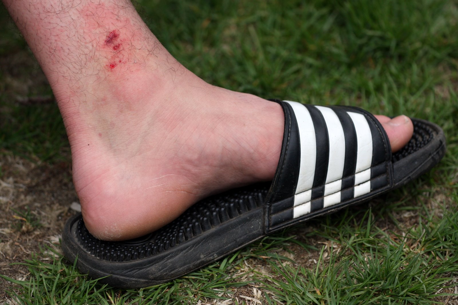 [2008-04-27+1708101.JPG]