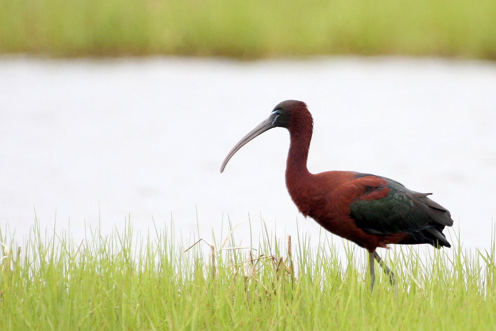 [2008-05-24+0633063.JPG]