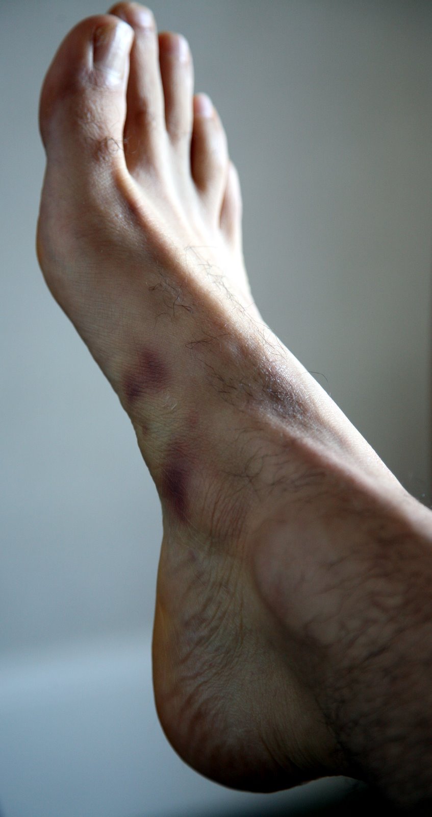 [2008-06-13+0722096.JPG]