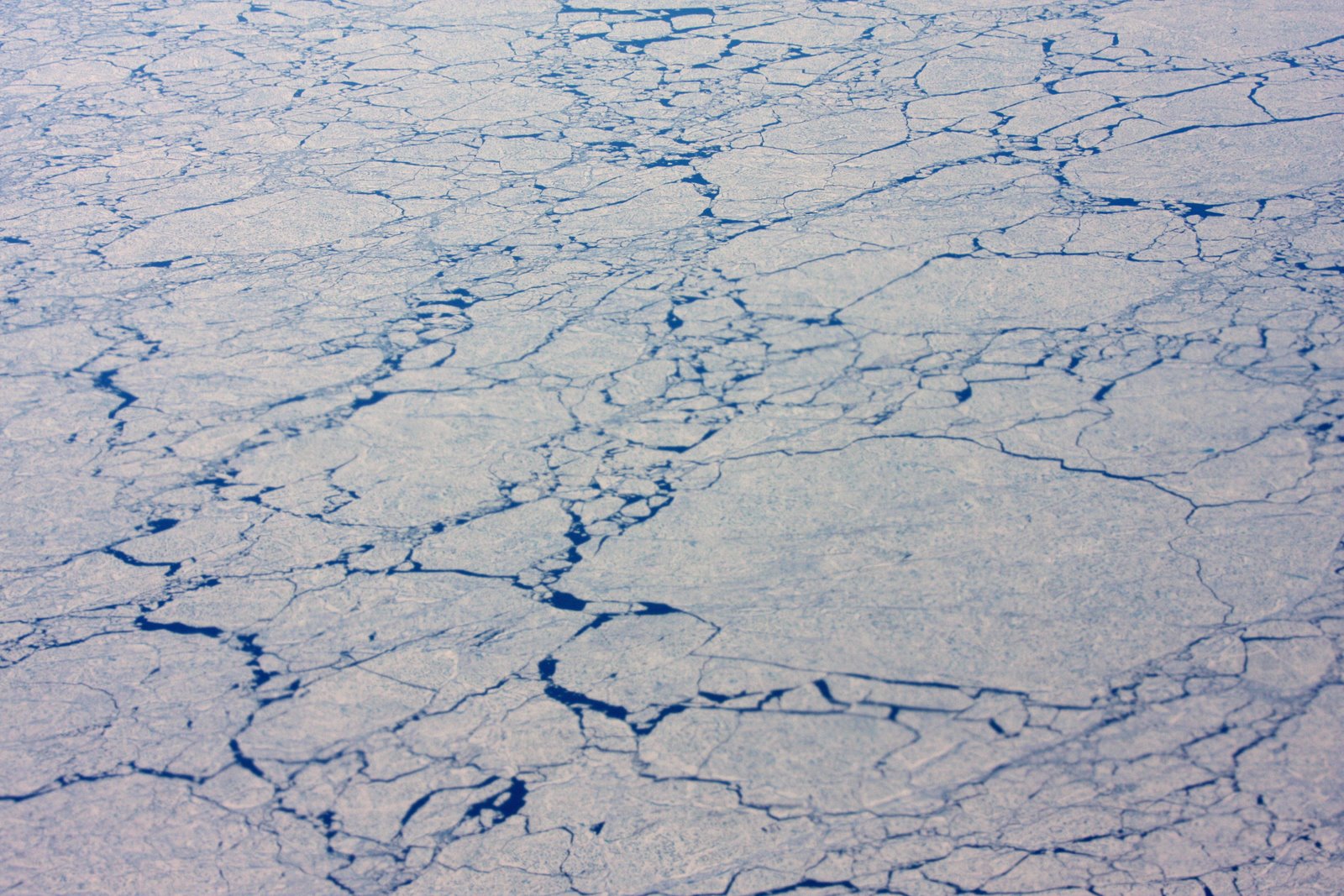 [2008-07-23+1605018.JPG]