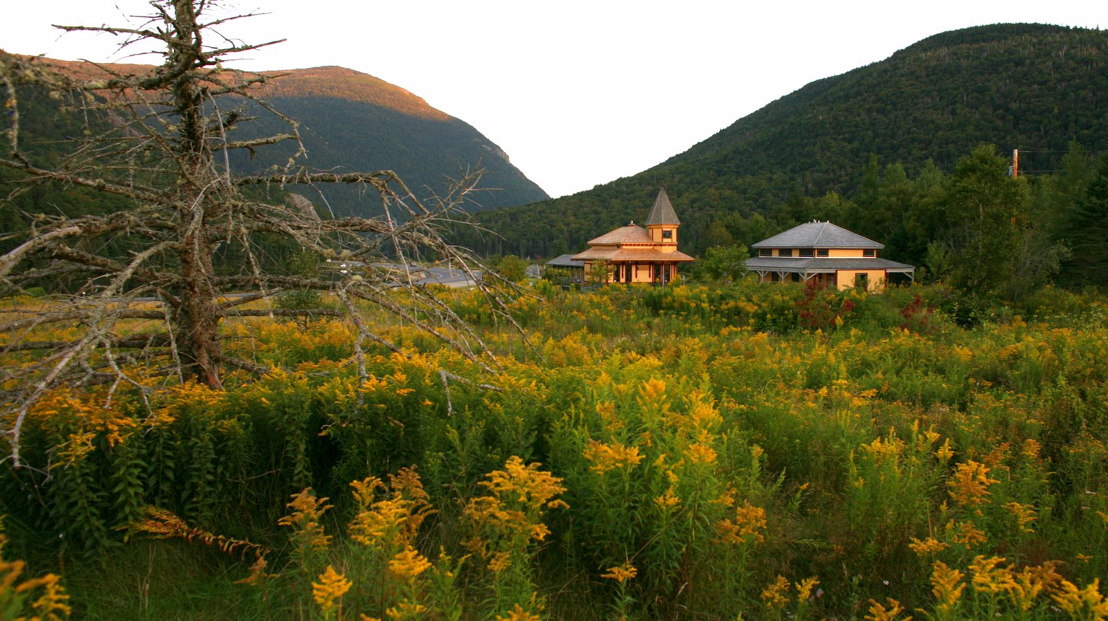 [2008-08-22+1919211.JPG]