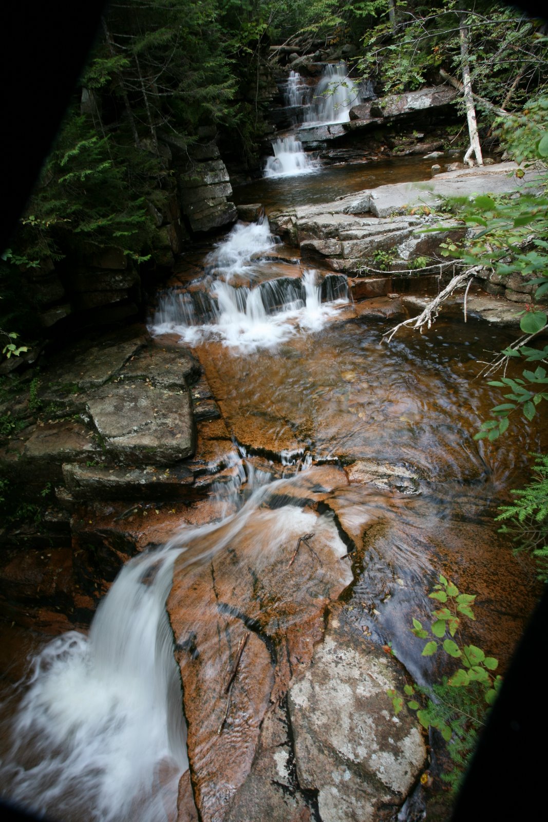 [2008-08-25+1119119.JPG]