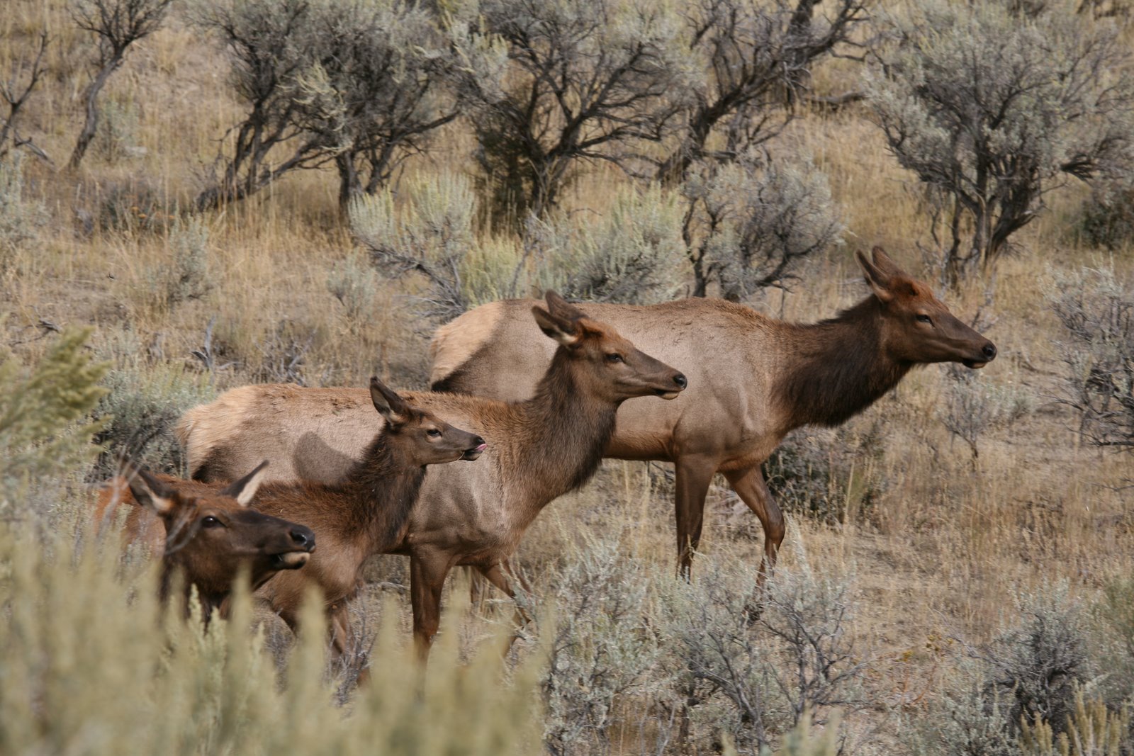 [2008-09-27+1632438.JPG]