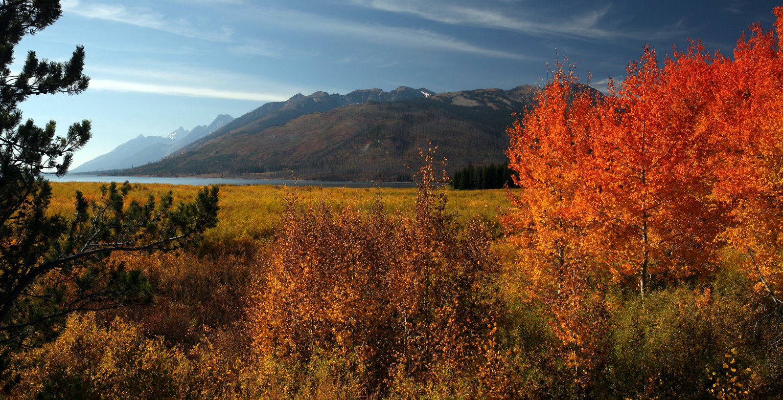 [2008-09-28+1333554.JPG]