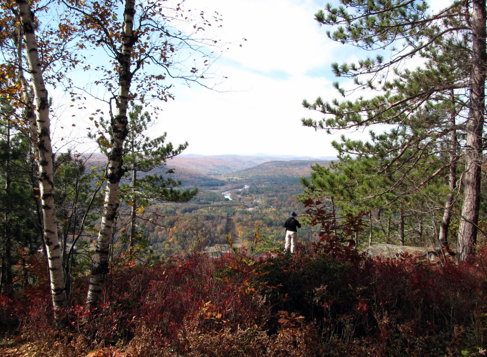 [2008-10-17+1243109.JPG]