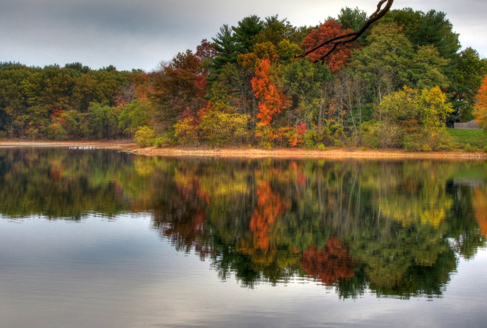 [2008-10-25+0844344_55_66.jpg]