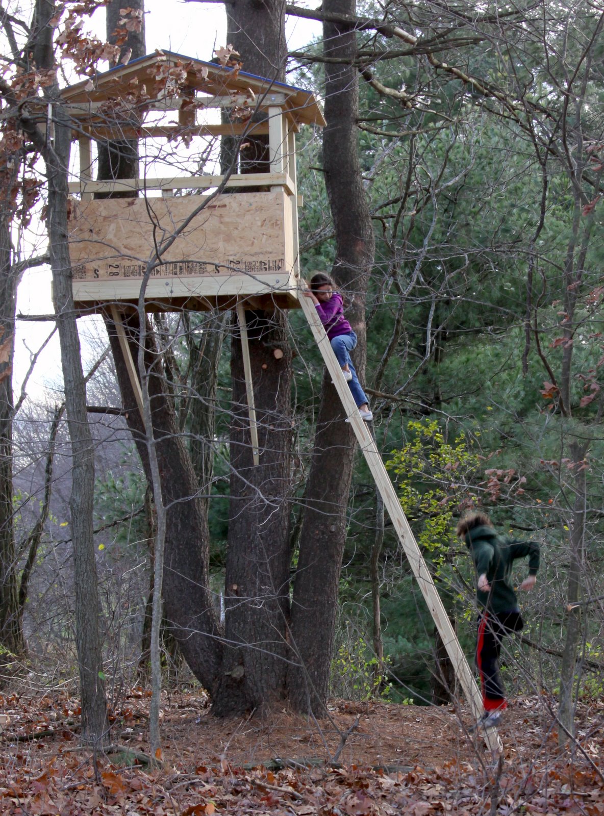 [2008-11-16+1441292.JPG]