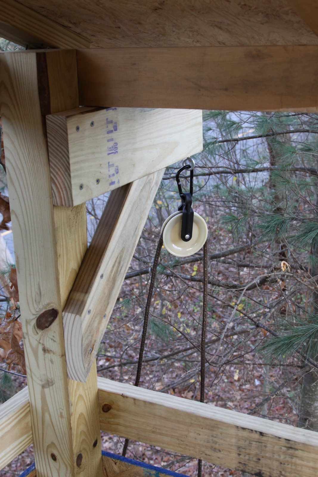 [2008-11-16+1444518.JPG]