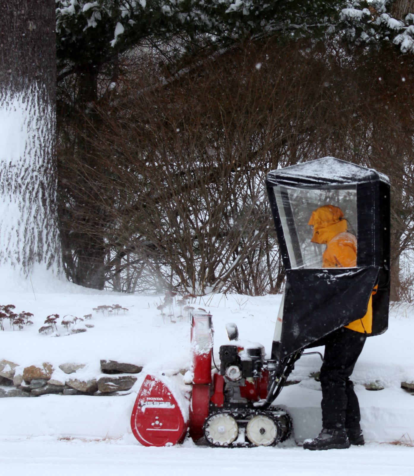 [2008-12-20+1006024.JPG]