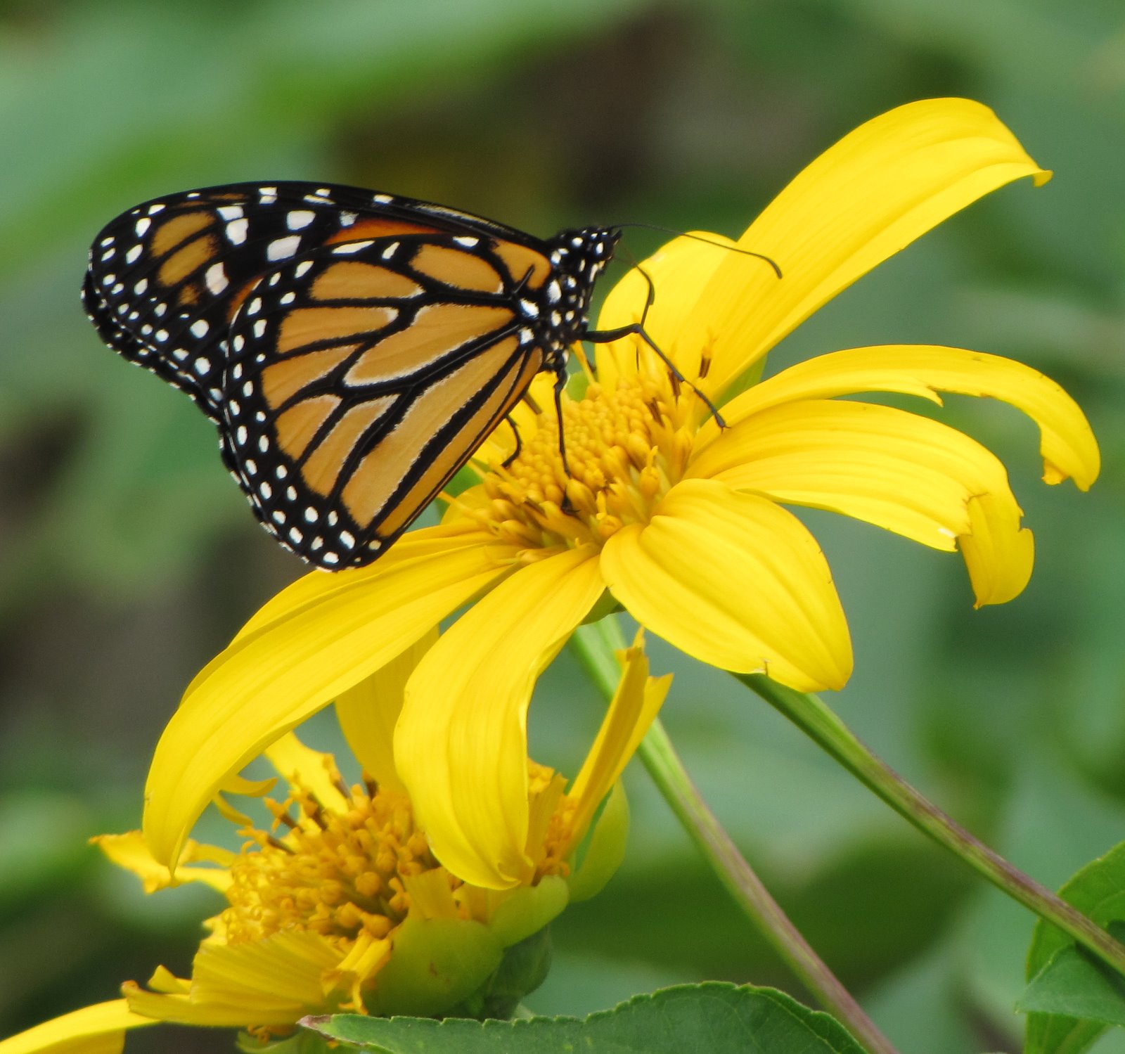 [2008-12-24+1420252.JPG]