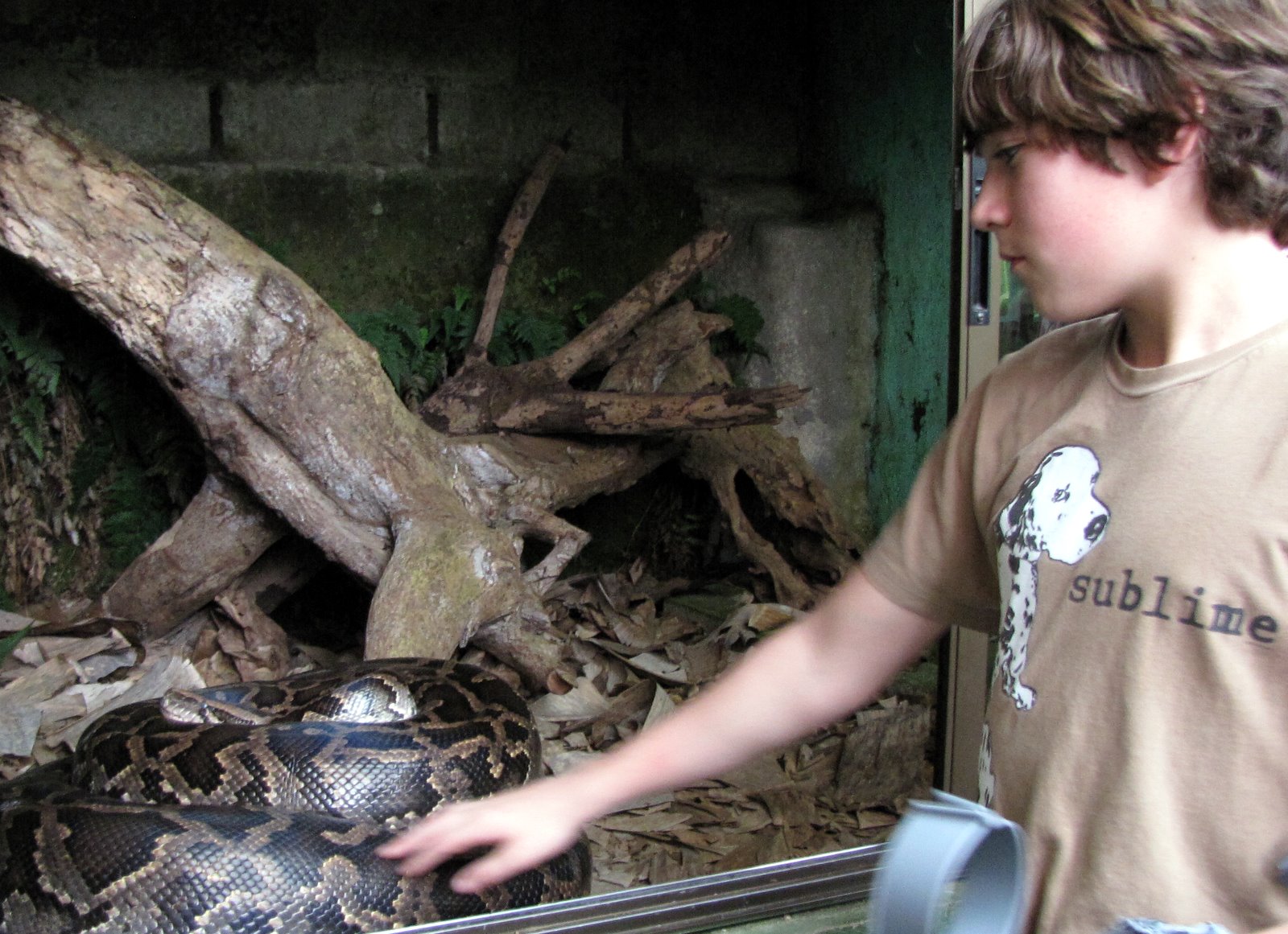 [2008-12-24+1601331.JPG]