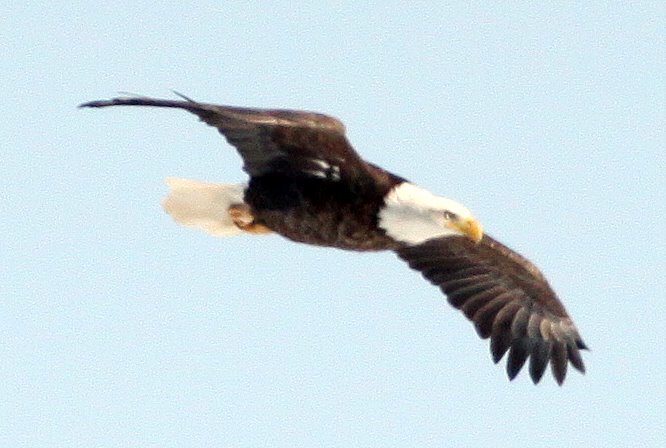 [2009-01-31+125824+4.JPG]