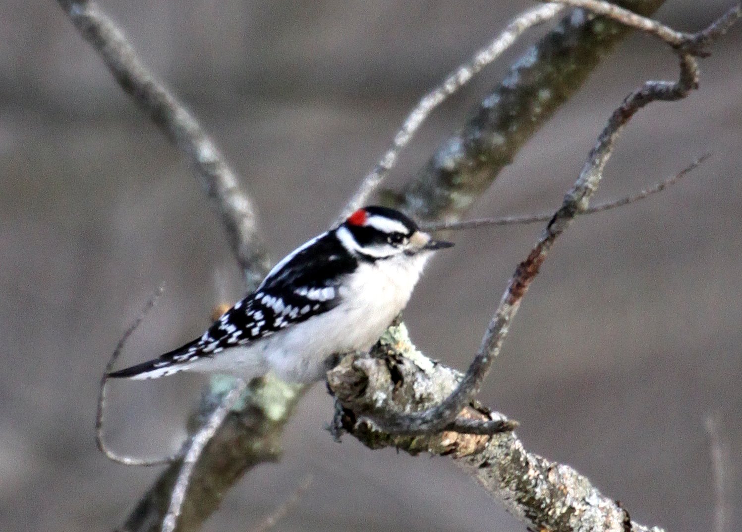 [2009-02-16+155913+3.JPG]