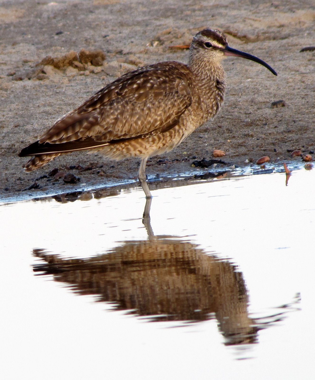 [2009-03-24+205745+0.JPG]